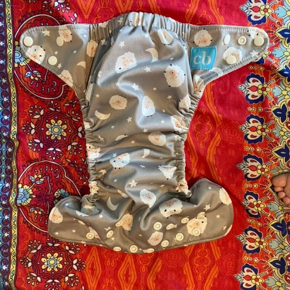 Charlie Banana cloth diaper